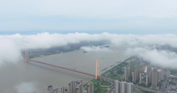 Wuhan City Punkt Orientacyjny Skyline Krajobrazy — Wideo stockowe