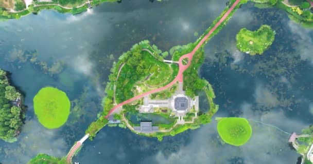 武漢の清陽湖公園の夏の風景 — ストック動画