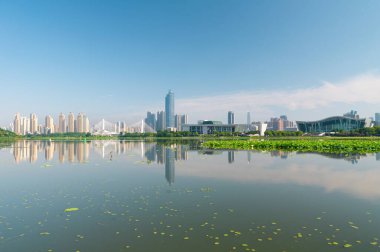 Wuhan Yuehu Han Nehri Köprüsü manzarası