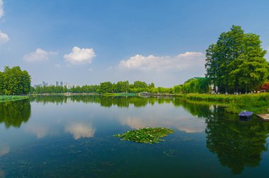 Wuhan Doğu Gölü Sahne Bölgesi 'nin doğal yaz manzarası