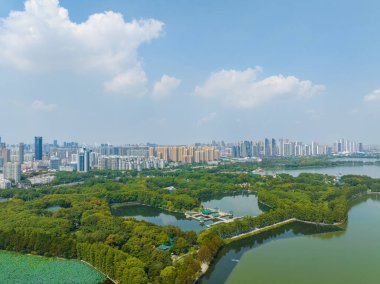 Wuhan Doğu Gölü Sahne Bölgesi 'nin doğal yaz manzarası