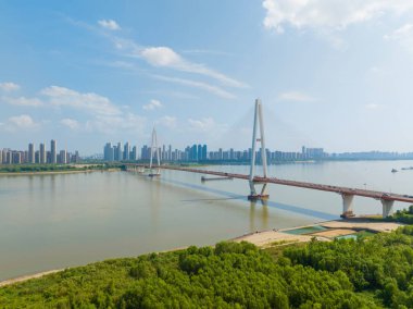 Wuhan Nehri Sahili ve Yangtze Nehri Köprüsü manzarası