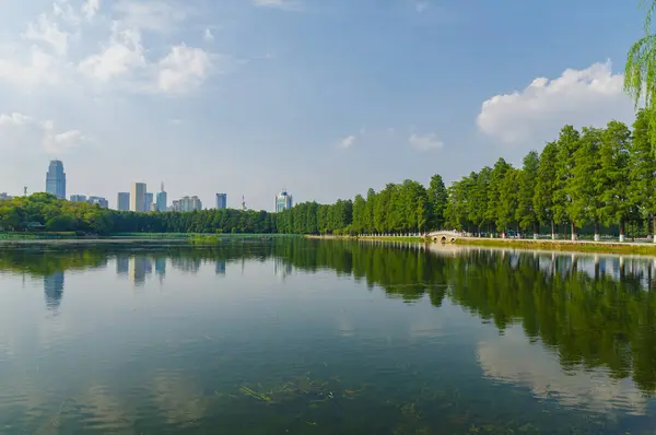 Letní Přírodní Scenérie Wuhan East Lake Scenic Area — Stock fotografie