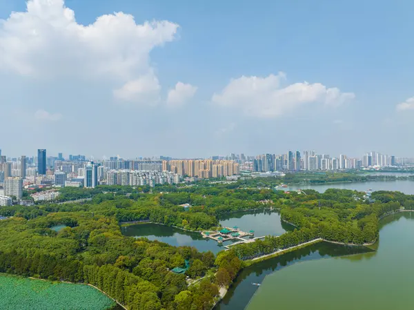 Zomer Natuur Van Wuhan East Lake Scenic Area — Stockfoto
