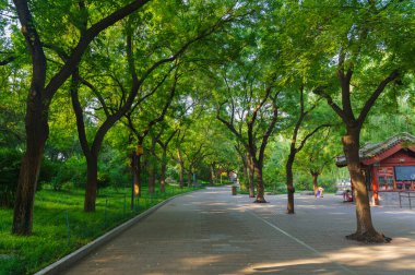 Pekin, Çin 'deki Pekin Parkı