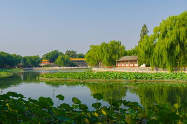 Pekin, Çin 'deki Pekin Parkı