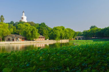 Pekin, Çin 'deki Pekin Parkı