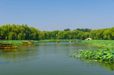 Pekin 'deki Eski Yaz Sarayı manzarası