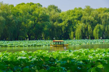 Pekin 'deki Eski Yaz Sarayı manzarası