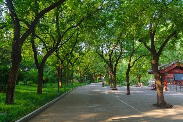 Pekin, Çin 'deki Pekin Parkı