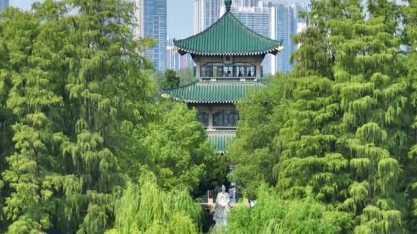 武汉东湖风景区的夏季自然景观 — 图库视频影像