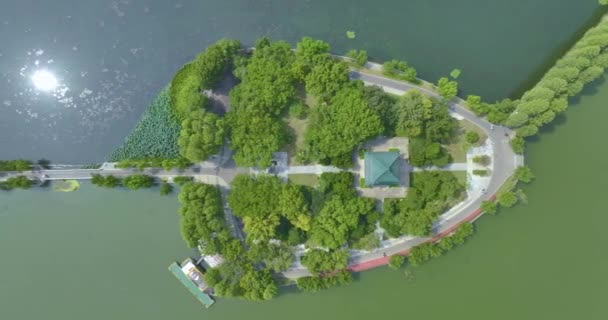 Sommar Naturlandskap Wuhan East Lake Scenic Area — Stockvideo