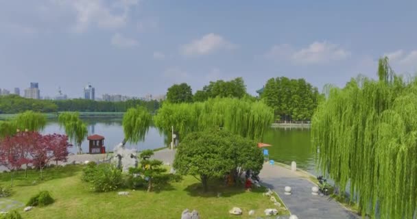 Letní Přírodní Scenérie Wuhan East Lake Scenic Area — Stock video