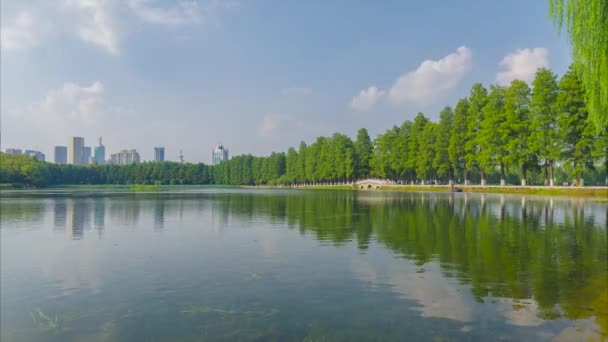 Verão Paisagem Natural Wuhan East Lake Scenic Area — Vídeo de Stock