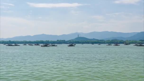 Zomer Natuur Van Wuhan East Lake Scenic Area — Stockvideo