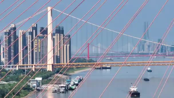Wuhan River Beach Und Yangtze River Bridge Landschaft — Stockvideo