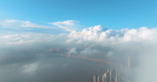 Paisaje Playa Del Río Wuhan Puente Del Río Yangtze — Vídeo de stock
