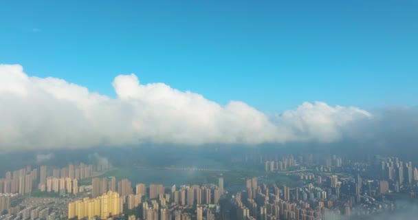 武汉河岸和长江大桥风景 — 图库视频影像