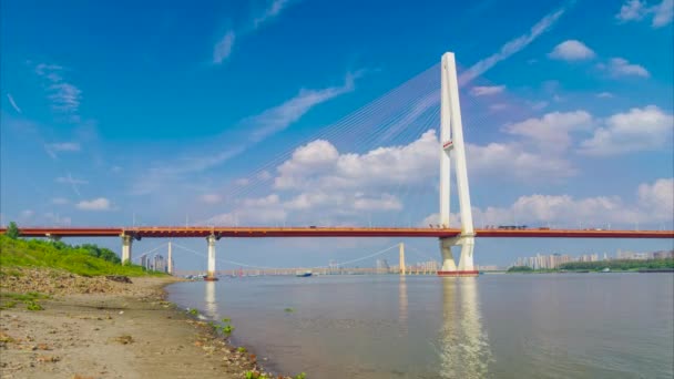Wuhan River Beach Και Yangtze River Bridge Τοπίο — Αρχείο Βίντεο