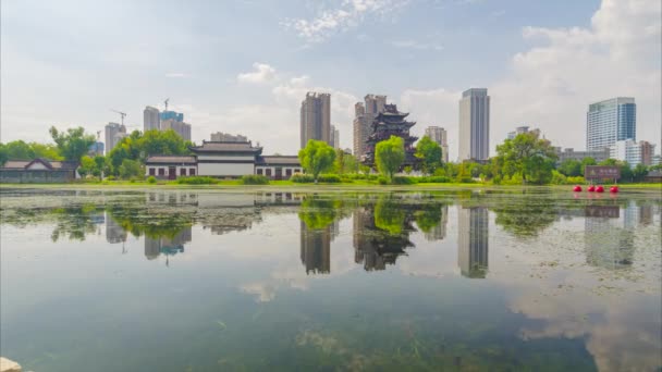 Wuhan Ziyang Lake Park Landschap — Stockvideo
