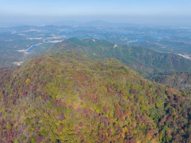 Wuhan Mu Lan Tianchi Manzarası Sonbahar Sonbaharı Sahnesi