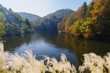 Wuhan Mu Lan Tianchi Manzarası Sonbahar Sonbaharı Sahnesi