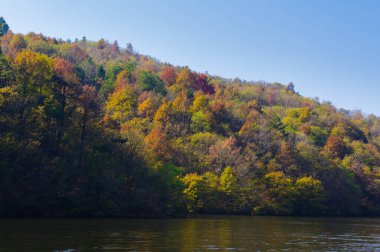 Wuhan Mu Lan Tianchi Manzarası Sonbahar Sonbaharı Sahnesi