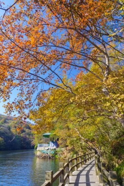 Wuhan Mu Lan Tianchi Manzarası Sonbahar Sonbaharı Sahnesi