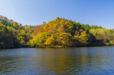 Wuhan Mu Lan Tianchi Manzarası Sonbahar Sonbaharı Sahnesi