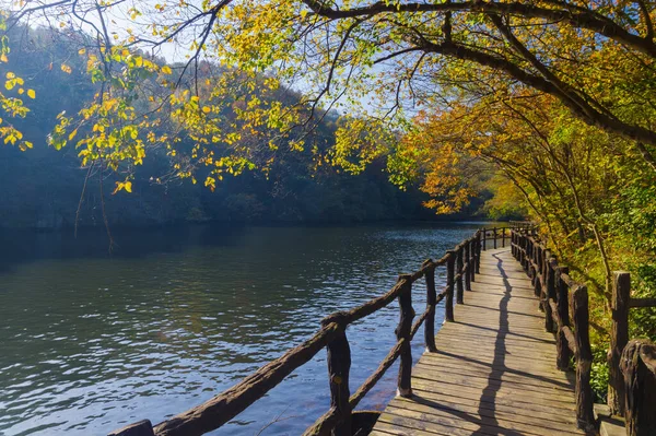 Wuhan Mu Lan Tianchi Manzarası Sonbahar Sonbaharı Sahnesi