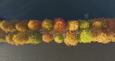 Wuhan Doğu Gölü Manzarası Sonbahar Manzarası