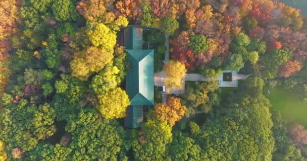 Pozdní Podzimní Scenérie Wuhan East Lake Scenic Area — Stock video