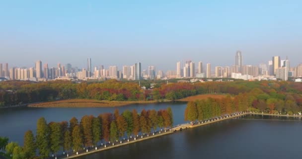 Αργά Φθινόπωρο Τοπίο Της Wuhan East Lake Scenic Area — Αρχείο Βίντεο