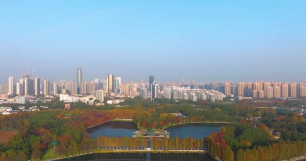 Paisajes Finales Otoño Zona Escénica Wuhan East Lake — Vídeos de Stock