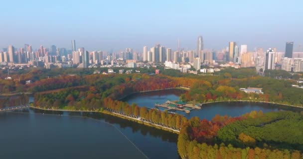 武汉东湖风景区晚秋风景 — 图库视频影像
