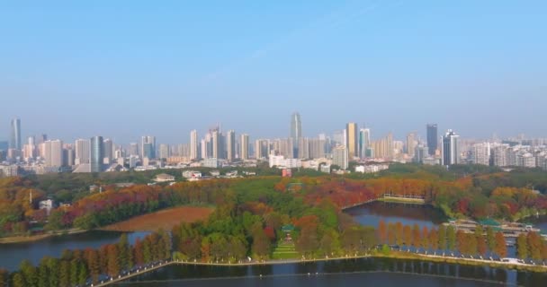 Late Autumn Scenery Wuhan East Lake Scenic Area — Stock Video