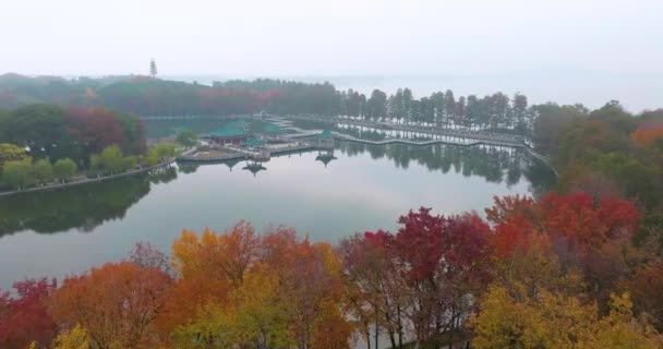 Paysage Fin Automne Wuhan East Lake Scenic Area — Video