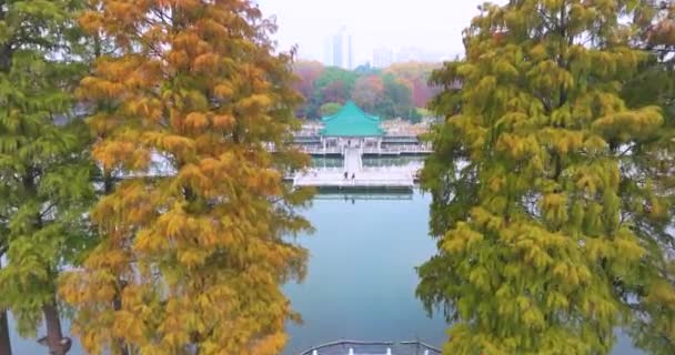 武漢東湖周辺の秋の風景 — ストック動画