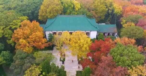 Paysage Fin Automne Wuhan East Lake Scenic Area — Video