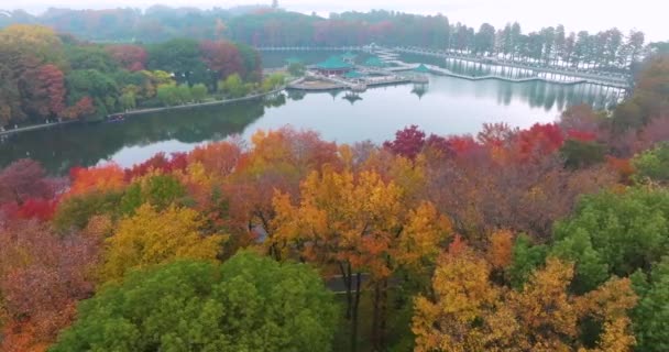 Pozdní Podzimní Scenérie Wuhan East Lake Scenic Area — Stock video