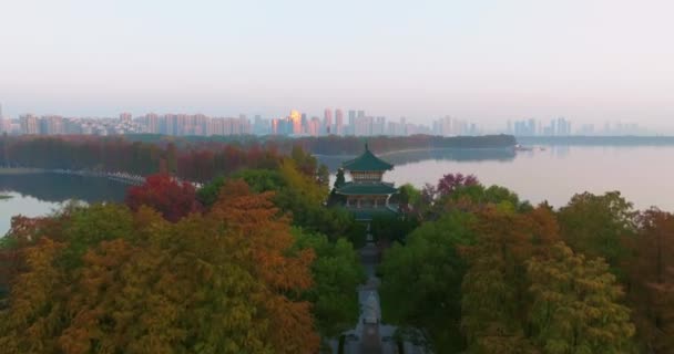 Późna Jesień Dekoracje Wuhan East Lake Scenic Area — Wideo stockowe