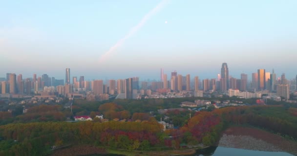 武漢東湖周辺の秋の風景 — ストック動画