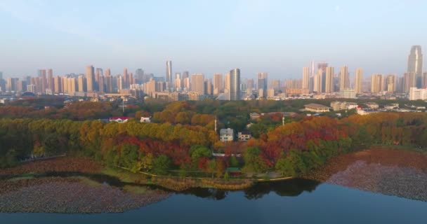 Wuhan Doğu Gölü Manzarası Sonbahar Manzarası — Stok video