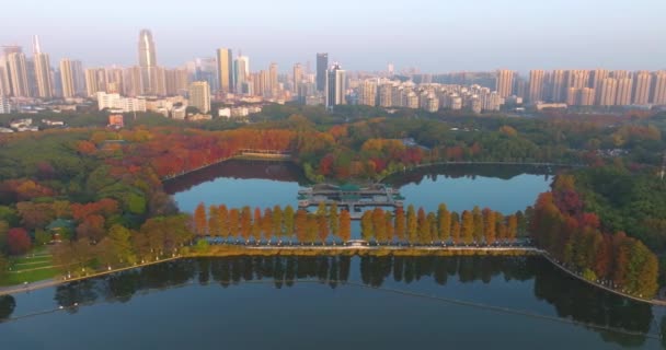 Paisajes Finales Otoño Zona Escénica Wuhan East Lake — Vídeos de Stock