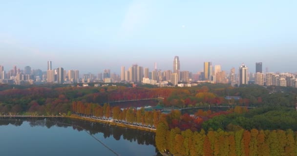 Wuhan Doğu Gölü Manzarası Sonbahar Manzarası — Stok video