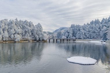 Lushan / Mountain Lu Ulusal Parkı Sahne Bölgesi, Jiujiang, Jiangxi, Çin