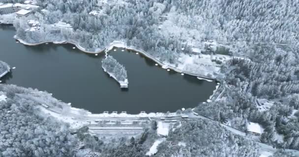 Сцена Зимнего Снега Национальном Парке Лушань Маунтин Цзюцзян Цзянси Китай — стоковое видео