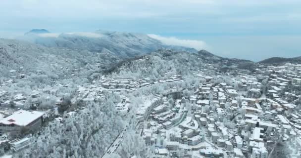 Winter Sneeuw Scene Lushan Mountain National Park Scenic Area Jiujiang — Stockvideo