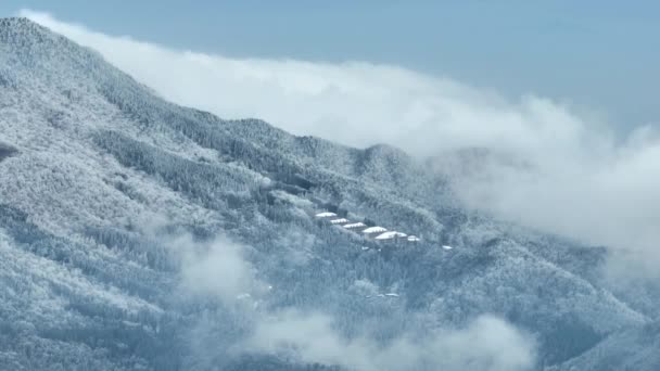 中国江西九江洛山路国家公园风景区冬季雪景 — 图库视频影像