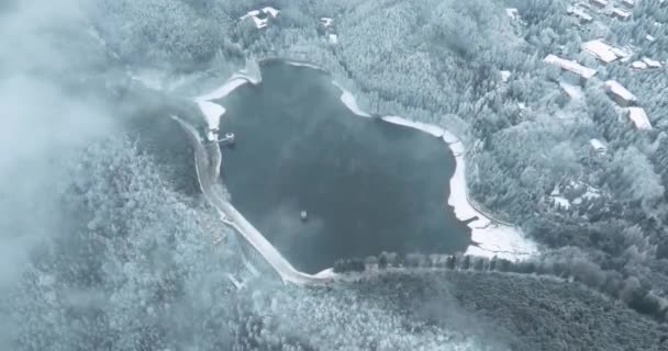 Сцена Зимнего Снега Национальном Парке Лушань Маунтин Цзюцзян Цзянси Китай — стоковое видео